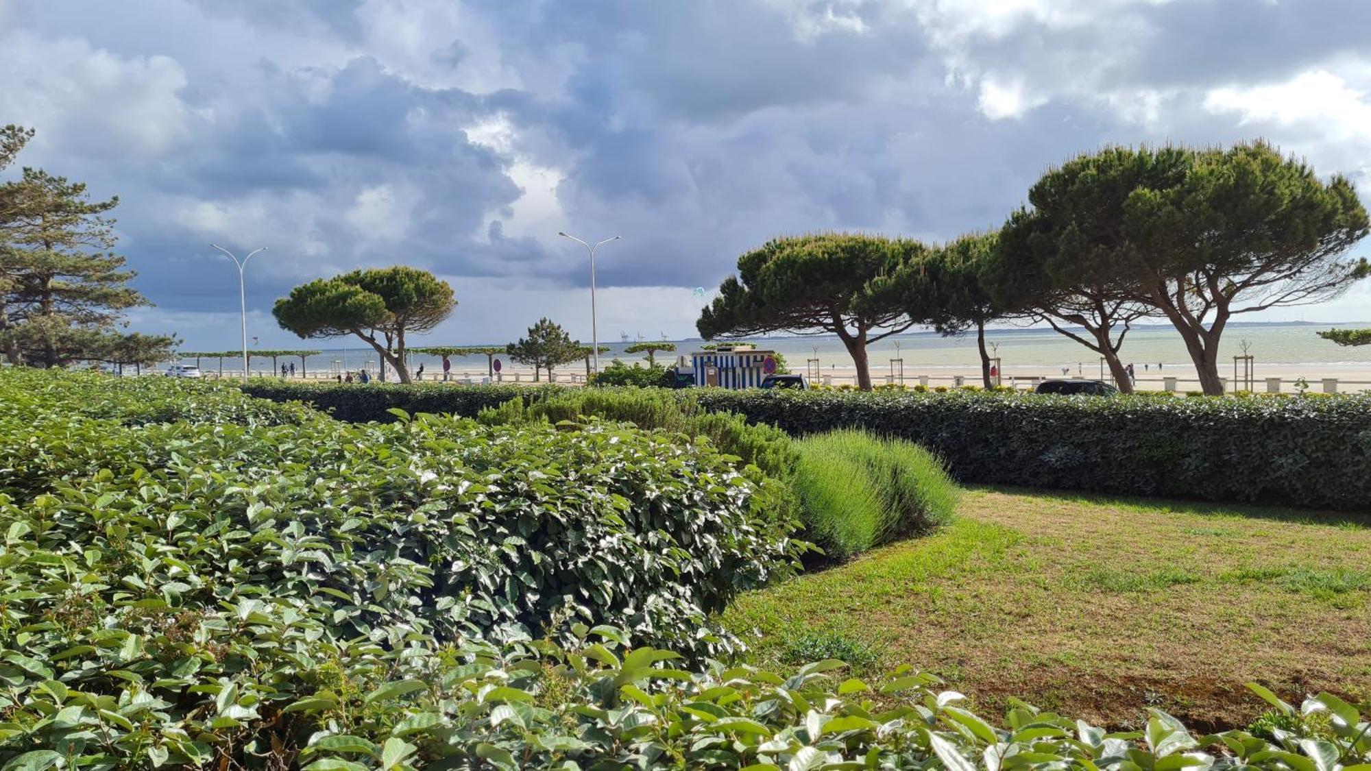 Saint Georges De Didonne - Vue Mer Pour Ce Studio Cosy En Rez-De-Chaussee Dış mekan fotoğraf