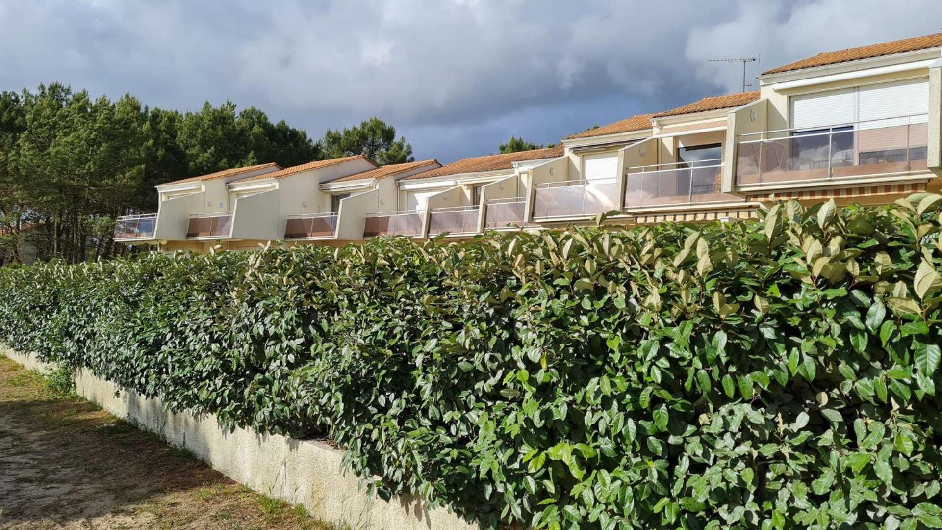 Saint Georges De Didonne - Vue Mer Pour Ce Studio Cosy En Rez-De-Chaussee Dış mekan fotoğraf